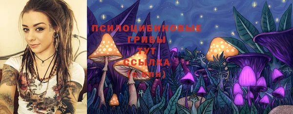 apvp Дмитриев