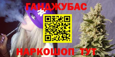 сатива Лесосибирск