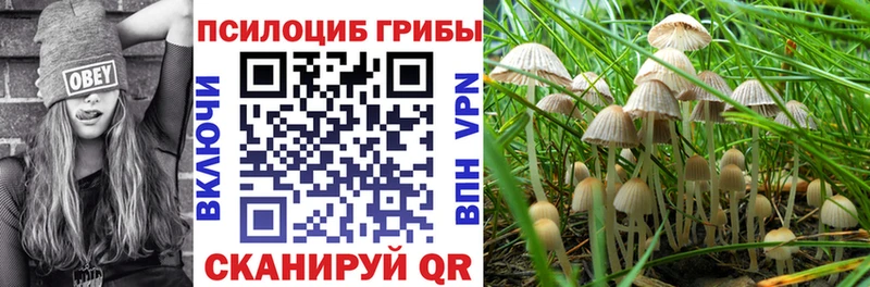 Галлюциногенные грибы MAGIC MUSHROOMS  где купить наркоту  kraken ССЫЛКА  Звенигород 